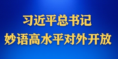 学习进行时丨习近平总书记妙语高水平对外开放