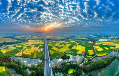 镜头 | 云天收夏色 木叶动秋声