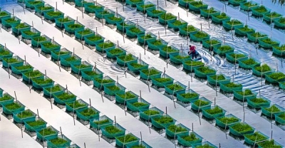 镜头 | 离离暑云散 袅袅凉风起