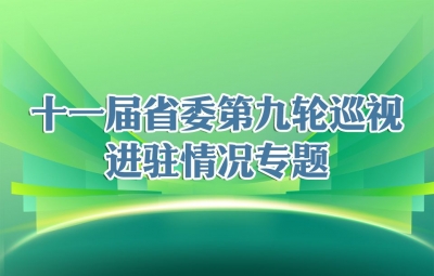 安徽巡视工作专题