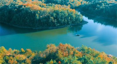 镜头 | 凉夜又秋分