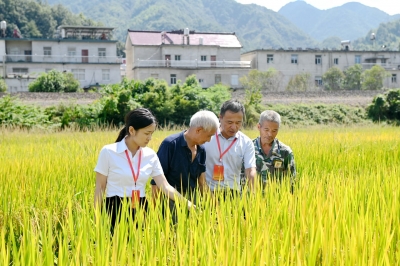 【中国纪检监察报】形成办案、治理、监督、教育闭环