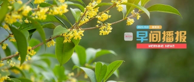 早间播报【2025年10月9日】