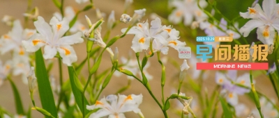 早间播报【2025年10月29日】