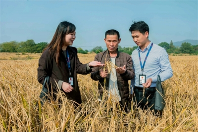 镜头  | 深入推进风腐同查同治