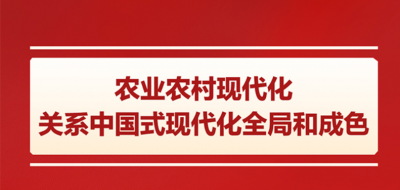 学思导图丨加快农业农村现代化，扎实推进乡村全面振兴
