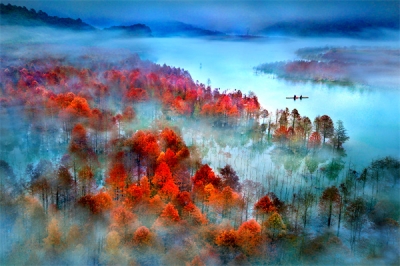 镜头 | 大美11月