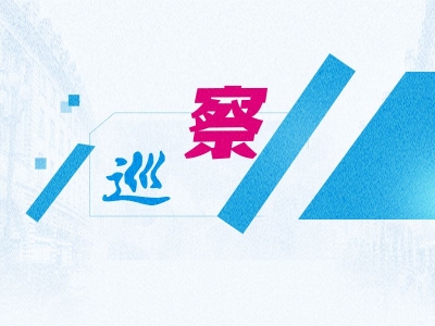 安庆大观：用好巡察建议书 推动系统施治