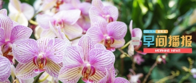 早间播报【2025年11月14日】