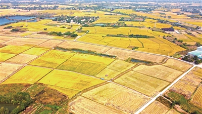 【中国纪检监察报】丰乐时光