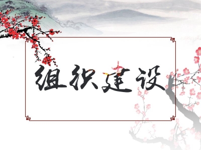 宿州埇桥：“片区协作+交叉监督”  激活基层监督“神经末梢”