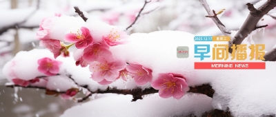 早間播報【2025年12月17日】