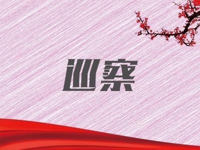 涡阳：一体推进查改治 提升对村巡察质效