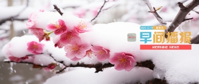 早间播报【2025年12月19日】