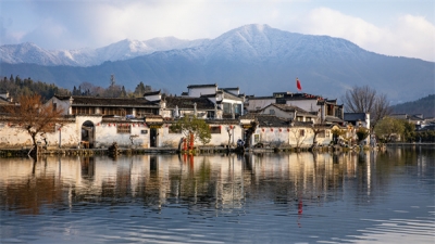 镜头 | 大美一月