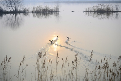 【廉史今读】锐始者必图其终 成功者先计于始