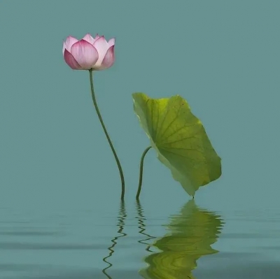 【清风苑】先择而后交