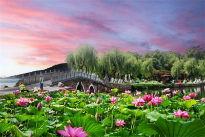 【清风苑】坚守“一”字见定力