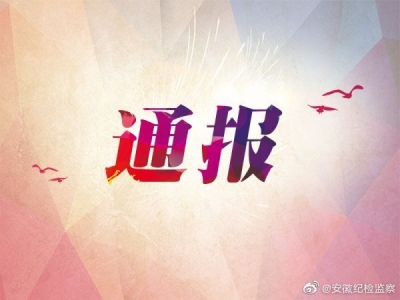 中央层面整治形式主义为基层减负专项工作机制办公室  中央纪委办公厅公开通报3起整治形式主义为基层减负典型问题