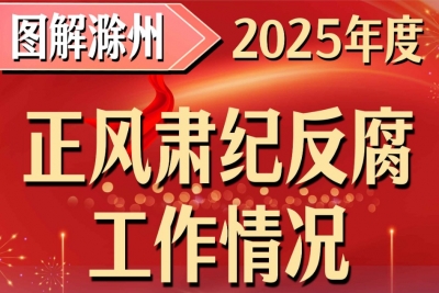 【图解】滁州：2025年度正风肃纪反腐工作情况