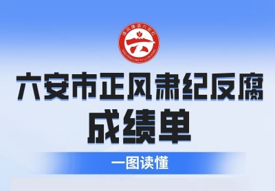图说|2025年度六安市正风肃纪反腐成绩单