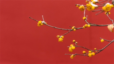 【廉史今读】先义而后利者荣 先利而后义者辱