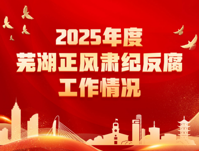 图解丨2025年度芜湖正风肃纪反腐工作情况