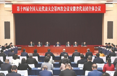 十四届全国人大四次会议安徽代表团举行全体会议