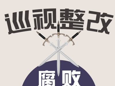 中共安庆师范大学委员会关于十一届省委第六轮巡视整改进展情况的通报