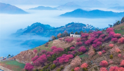 镜头｜春雷始鸣 万物惊蛰