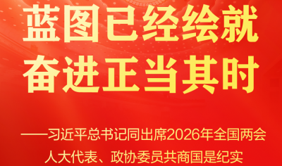 習近平總書記同人大代表、政協委員共商國是紀實