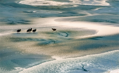 【清风苑】廉者憎贪 信者疾伪