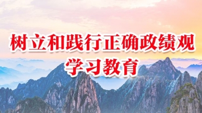 树立和践行正确政绩观学习教育