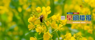 早間播報【2026年4月7日】