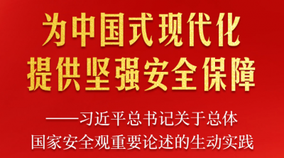 習近平總書記關于總體國家安全觀重要論述的生動實踐