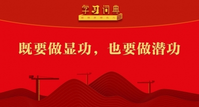 學習詞典?樹立和踐行正確政績觀丨既要做顯功，也要做潛功