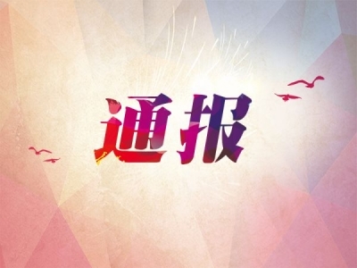 中央层面整治形式主义为基层减负专项工作机制办公室 中央纪委办公厅公开通报4起整治形式主义为基层减负典型问题