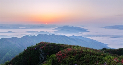 镜头｜大美四月