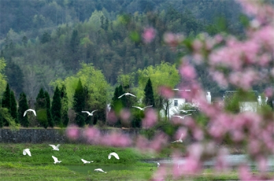 【清風苑】學如不及 猶恐失之