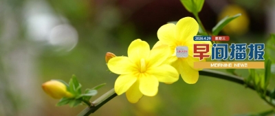 早间播报【2026年4月29日】