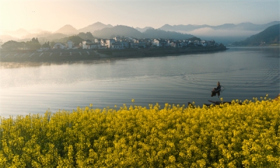 【清風苑】清心為治本 直道是身謀