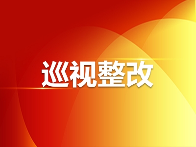 二十届中央巡视省（自治区、直辖市）完成反馈