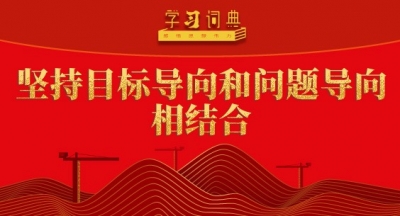 学习词典•树立和践行正确政绩观丨坚持目标导向和问题导向相结合