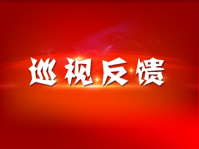 二十届中央第四轮巡视完成反馈