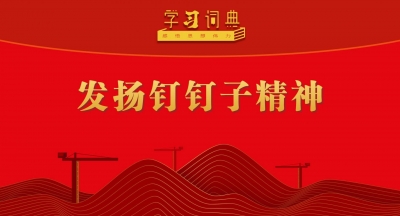 学习词典·树立和践行正确政绩观丨发扬钉钉子精神