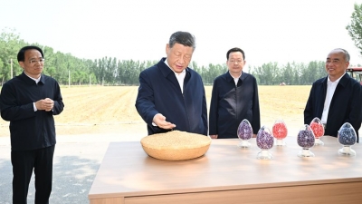 习近平在山东德州考察