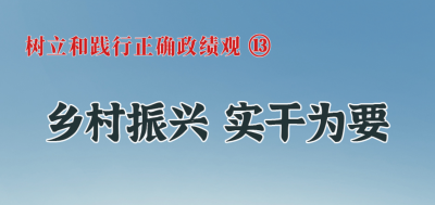 树立和践行正确政绩观⑬乡村振兴 实干为要