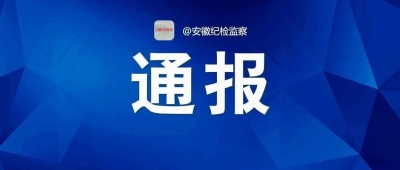 中央层面树立和践行正确政绩观学习教育工作专班 中央纪委办公厅公开通报3起政绩观偏差问题