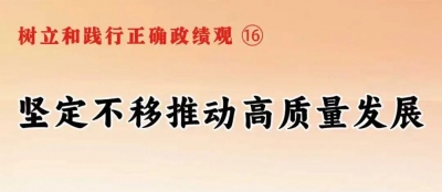 树立和践行正确政绩观⑯坚定不移推动高质量发展