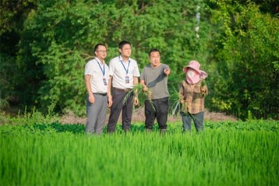 镜头 | 监督护航高标准农田建设